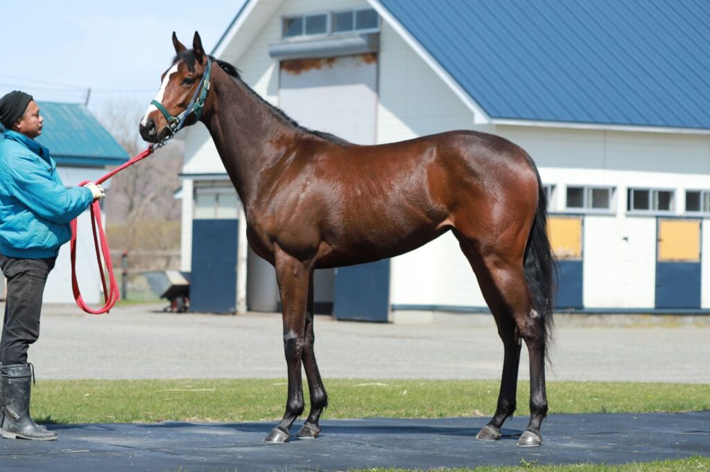 8c3e8a5f39636e06cf133c9c479771