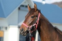 310-874　父：キセキ